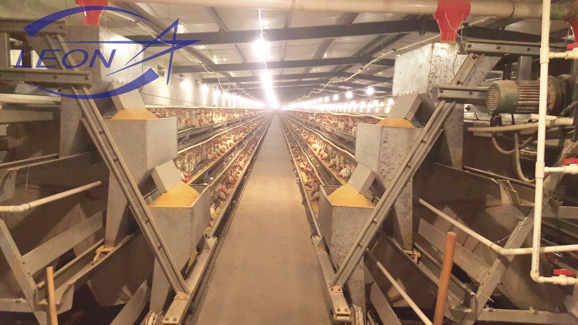 116_