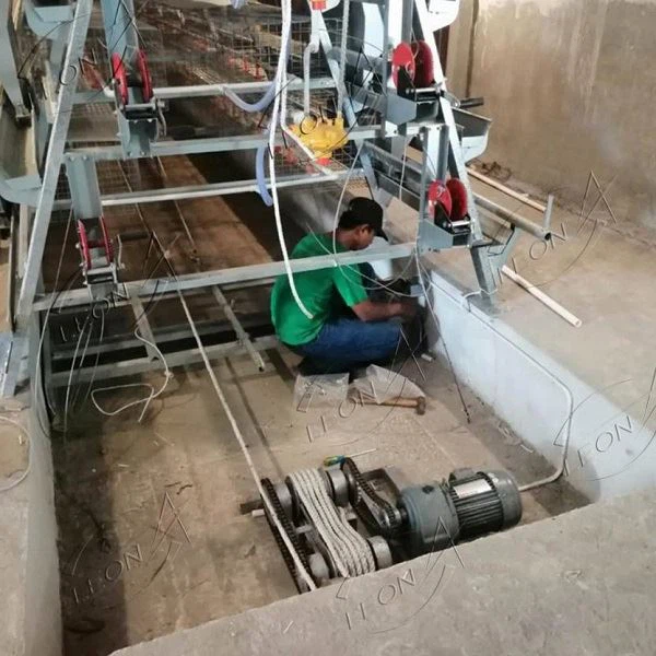 The Latest A Type Layer Breeding Equipment The Latest A Type Layer Breeding Equipment