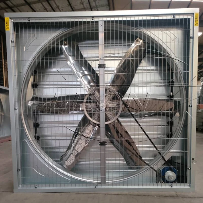 product-800-800 product-800-800