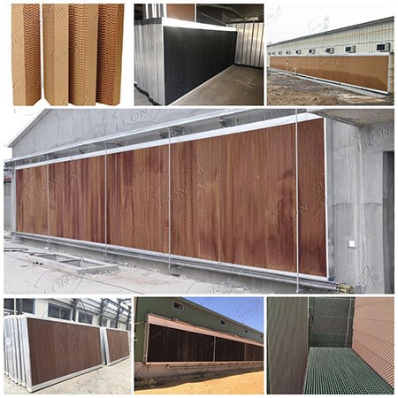 product-450-450